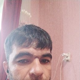 , 37, 