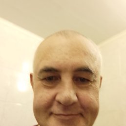 , 54 , 
