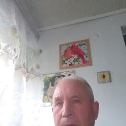, 53, 