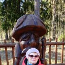 ���� �����, ����������, 66 ��� - ��������� 25 ����� 2025 � ������ ���� ����������