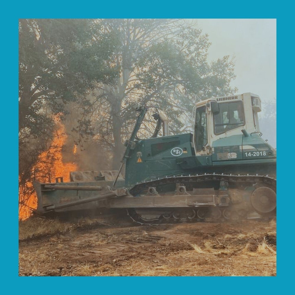 Россияне вернулись в отели Антальи несмотря на пожары.Из-за лесных пожаров туристов временно ... - 4