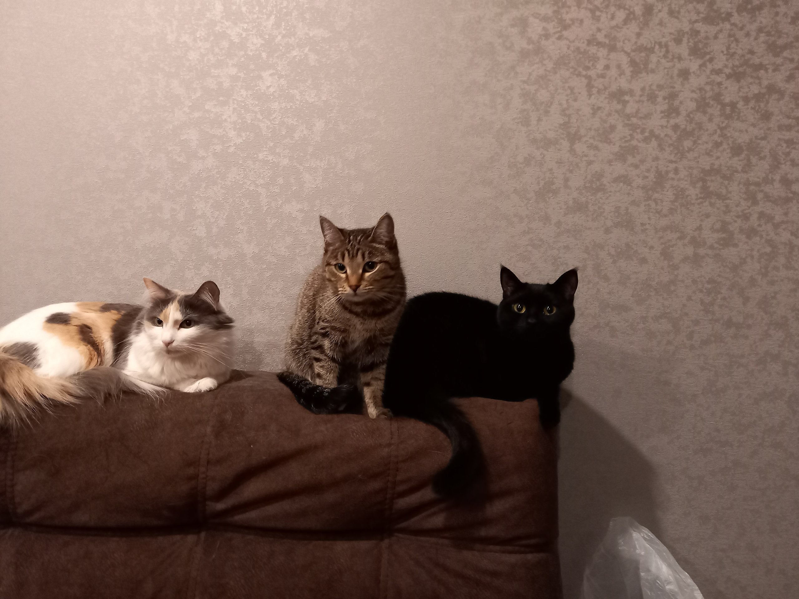 Nataly - 17  2025  16:58