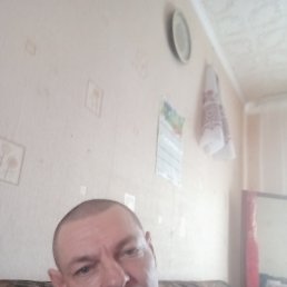 , 41, 