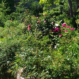 Cks2012, ������, 42 ����