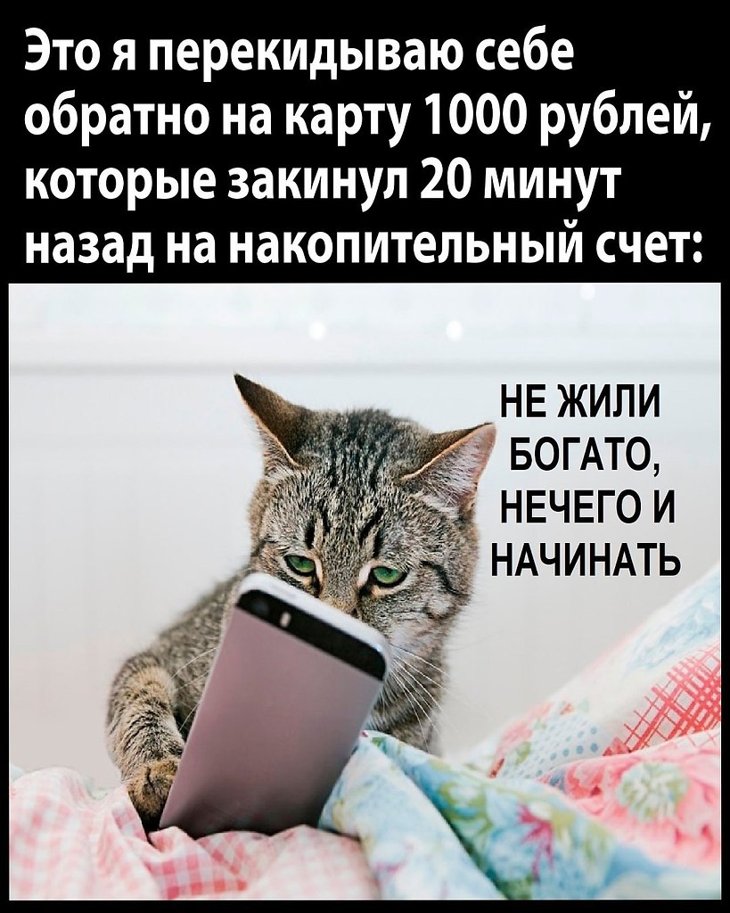  ... - 6  2025  21:24