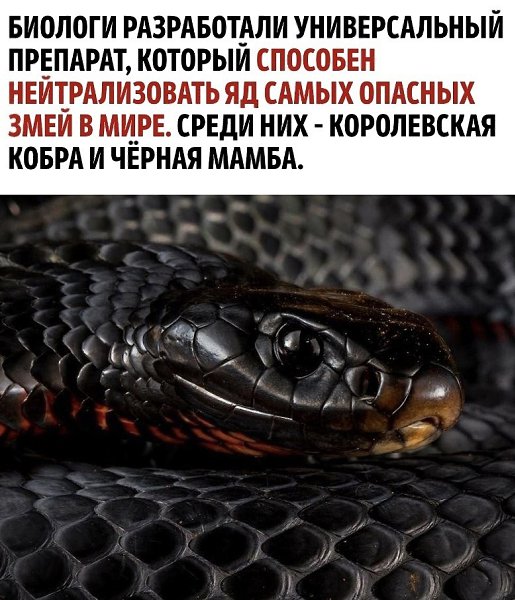 ,   - 2