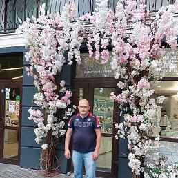 ����, �����������, 44 ����