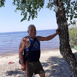 �������, ������, 66 ���