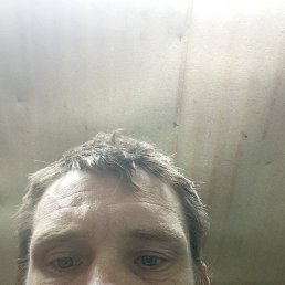 , 39, 