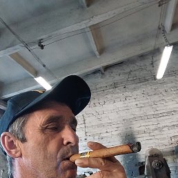 , 50 , 