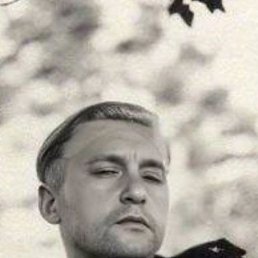 ������, 40 ���, ������