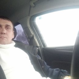 , 41, 
