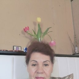 ���� ������, �����������, 63 ���� - ��������� 12 ������ 2026