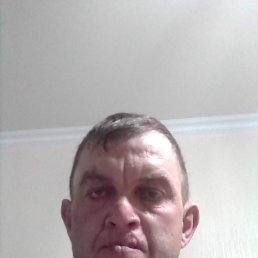 , 41, 
