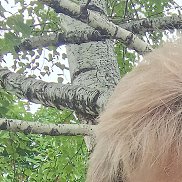 ������, 59 ���, ������