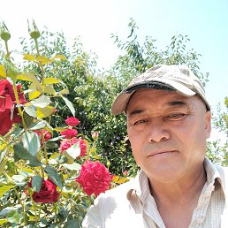 , 54, 