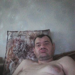 , 41, 
