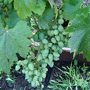 ���� �����, �������� - ��������� 26 ���� 2025 � ������ ������� 2025�