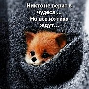 ����, 19 ���, ������