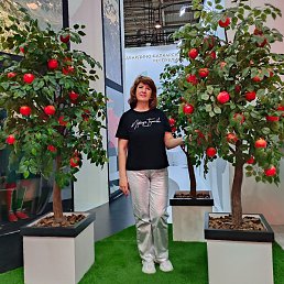 ��������, ������, 49 ���