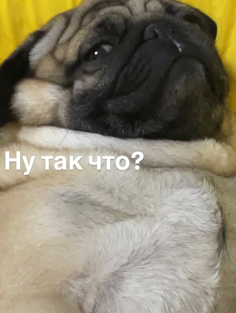 � ����... - 30 ������ 2026 � 10:40 - 2
