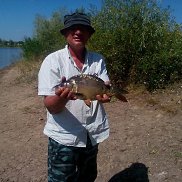 , 51 , 