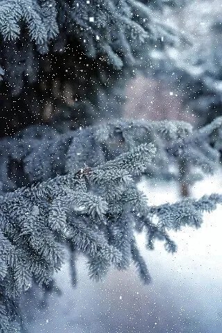  , , .    ,   . ,  ...