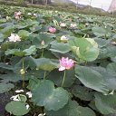 ���� �����, �����������, 45 ��� - ��������� 25 ������ 2025 � ������ ���� ����������