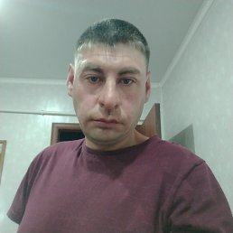 , 34, 