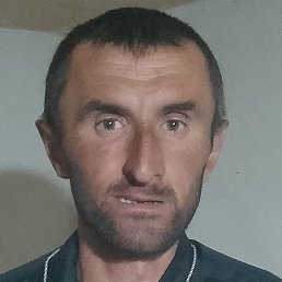 ���� �������, ��������, 41 ���