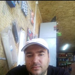, 48, 