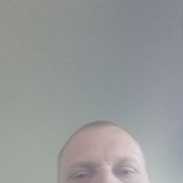 , 32, 