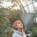 ���� ������, ���������, 29 ��� - ��������� 17 ������� 2024 � ������ ���� ����������