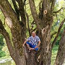 ���� ��������, ��������, 48 ��� - ��������� 3 ������ 2025