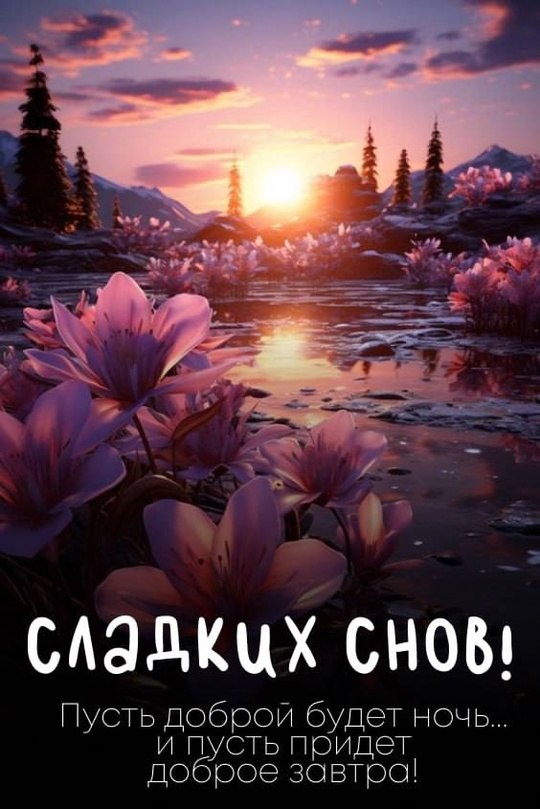   ,    . - 20  2025  21:05