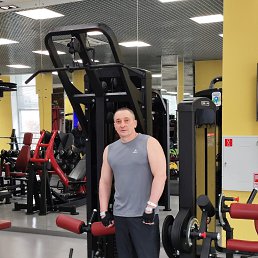 , 51 , 