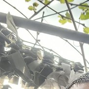 Karen, 45 лет, Москва Karen, 45 лет, Москва