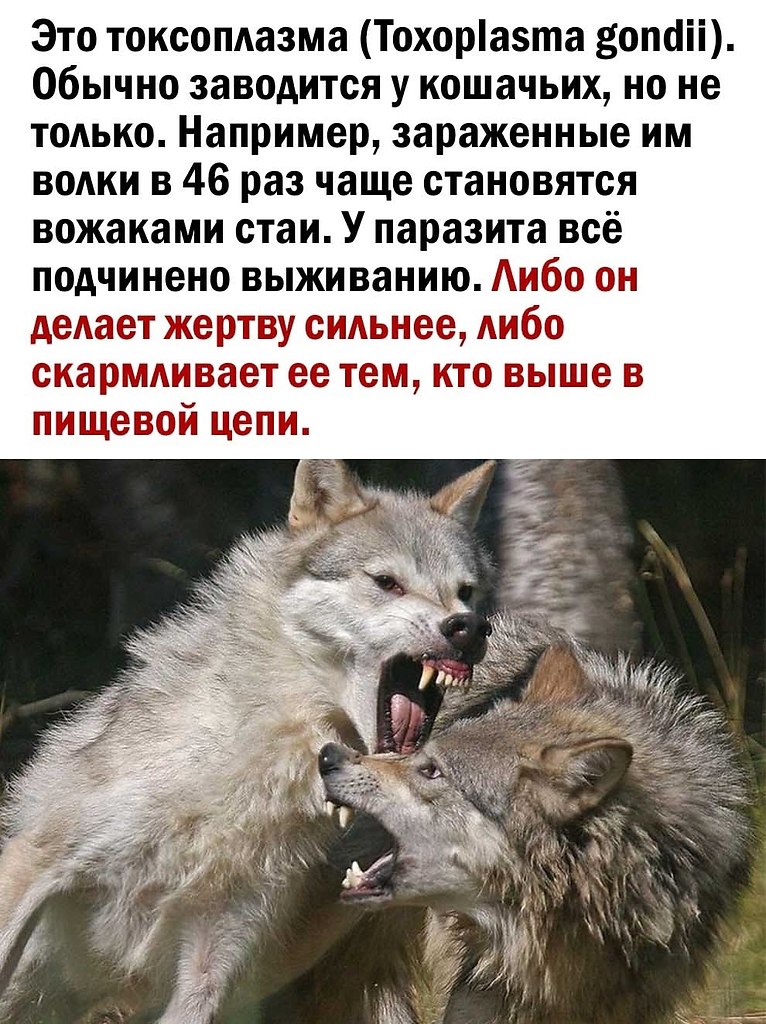  - 11  2025  16:21 - 2
