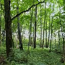 ���� Oleg, ������ - ��������� 10 ������ 2026 � ������ �Environs�