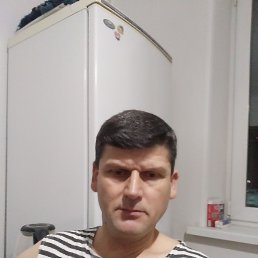 ����, 44 ����, ���������