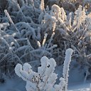 ���� Sever, ��������, 61 ��� - ��������� 16 ������� 2023 � ������ ������ ��������