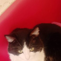 ���� ����, ������, 37 ��� - ��������� 21 ����� 2024