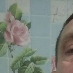 ���� �����, ����, 43 ����