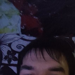 , 38, 