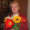 ���� ����, ��������������, 49 ��� - ��������� 11 ���� 2024 � ������ ���� ����������