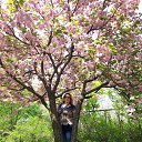 ���� Larisa, �������������-���������� - ��������� 3 ���� 2026 � ������ ���� ����������