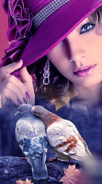 У меня нет всего, что я люблю, но я люблю все, что у меня есть. Лев Толстой