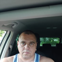 ���� �����, �����������, 41 ��� - ��������� 16 ���� 2026