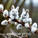 ���� ���������, ������� - ��������� 11 ������ 2026 � ������ ������ ��������