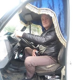 , 54, -
